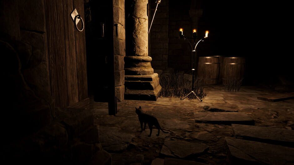 Catsploration Screenshot