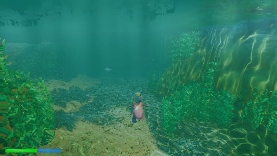 Platypus Adventures Screenshot