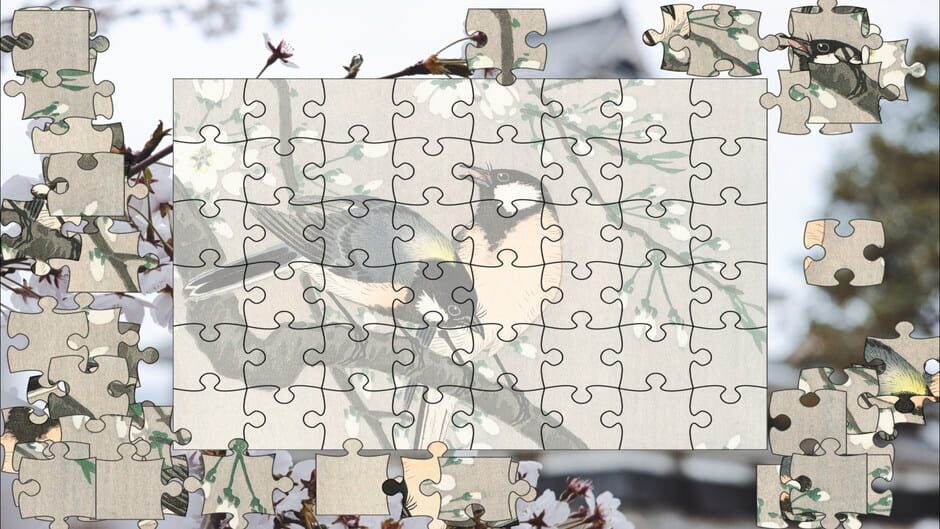 Pieces of Beauty Screenshot