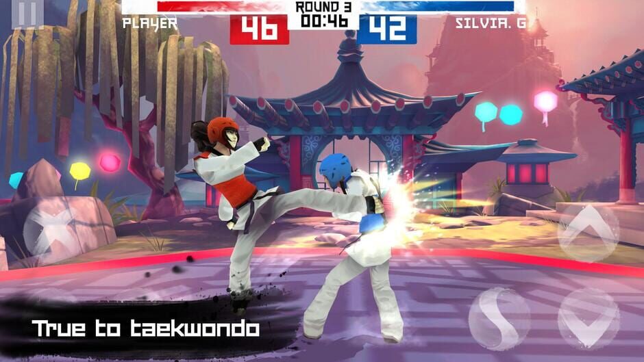 สกรีนช็อตจาก Taekwondo (รูปที่ 3)