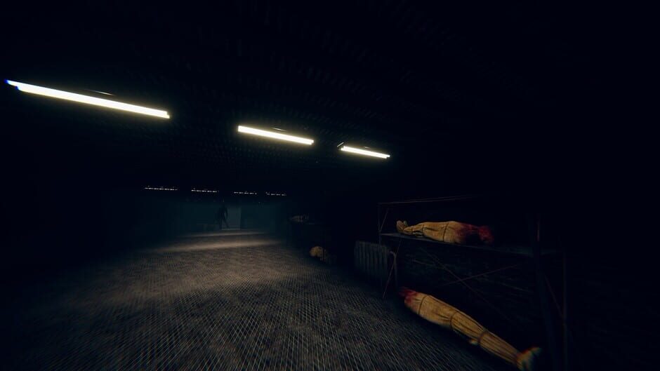 Screenshots Extinction
