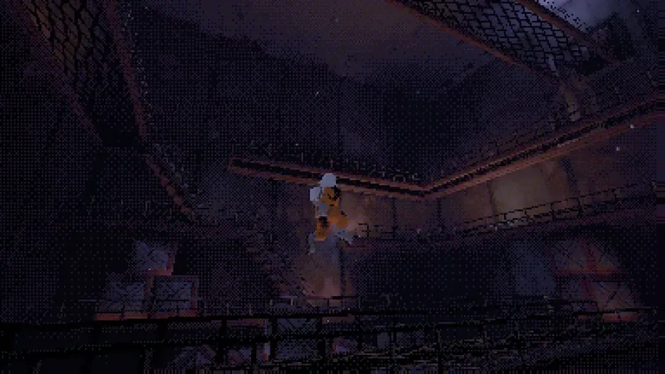 The Sirena Expedition