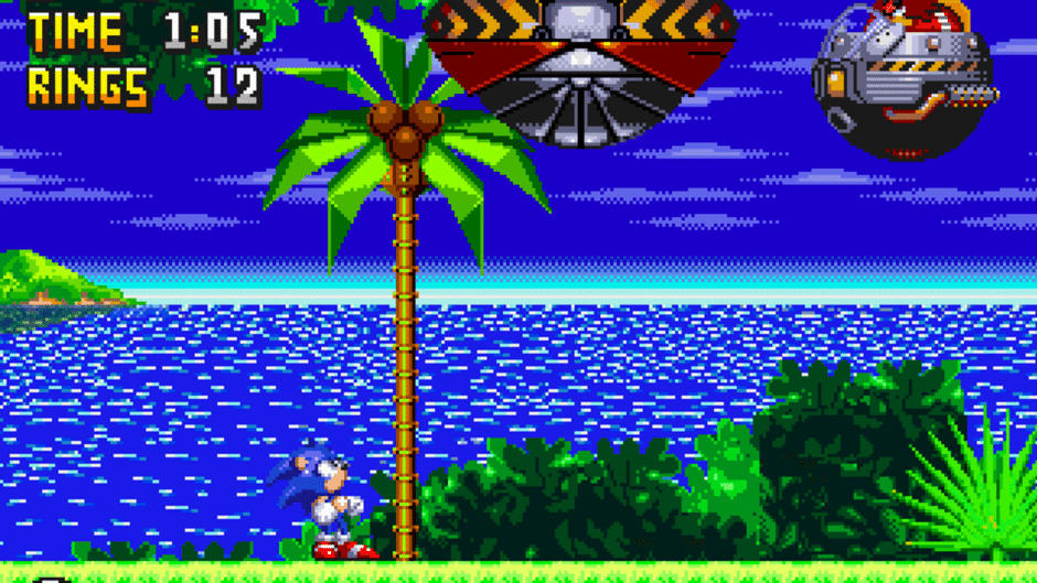 Sonic 3D in 2D Screenshot