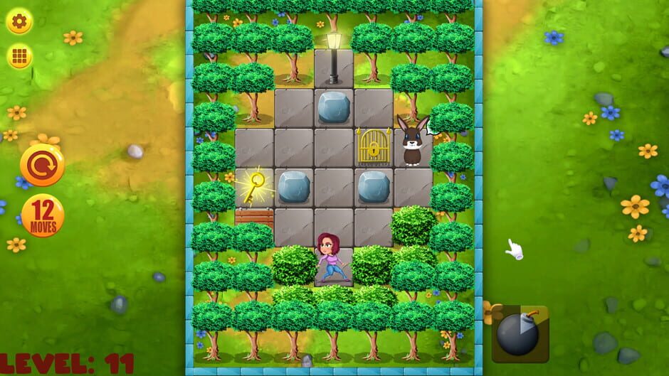 Push Puzzle: Rescue Adventure Screenshot