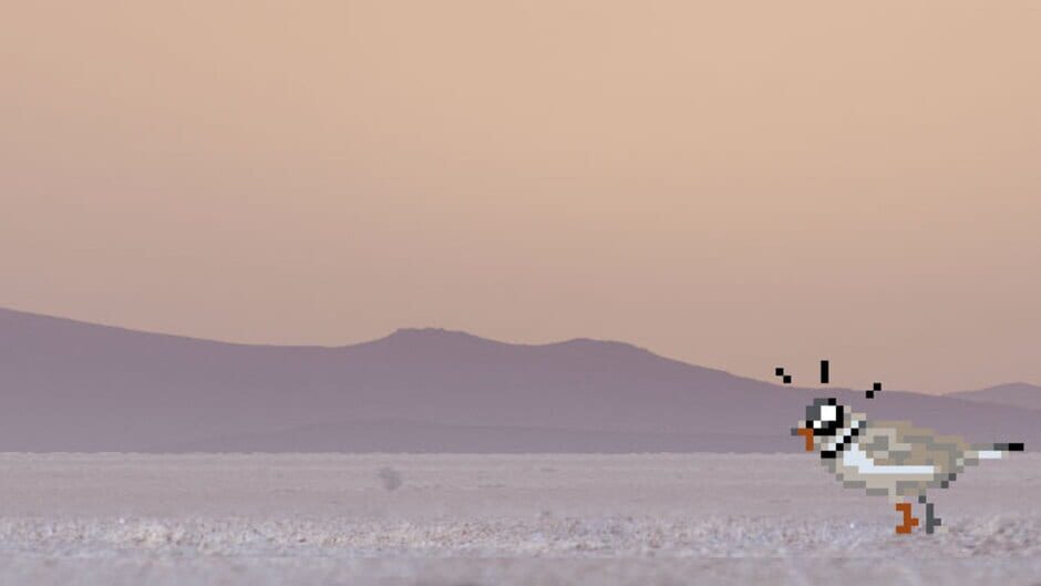 Plover screenshot