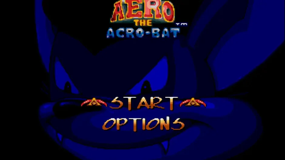 Aero the Acro-Bat screenshot 1