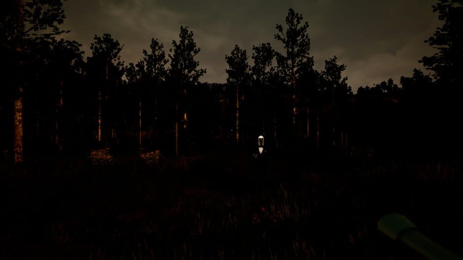 Violation Screenshot