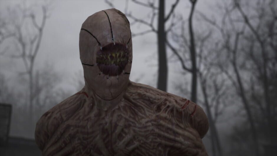 Stray Souls Screenshot