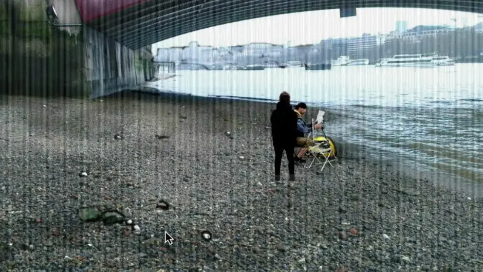 Capture d'écran de l'article