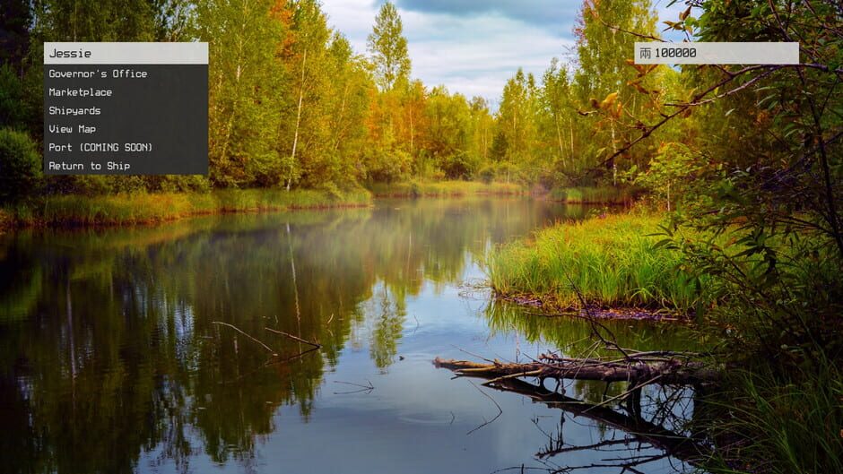 Infinite Voyager Screenshot