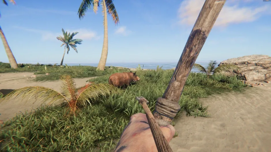 Project Castaway