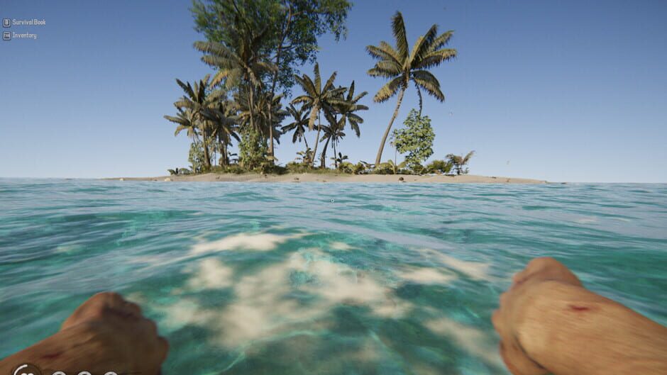Project Castaway Screenshot
