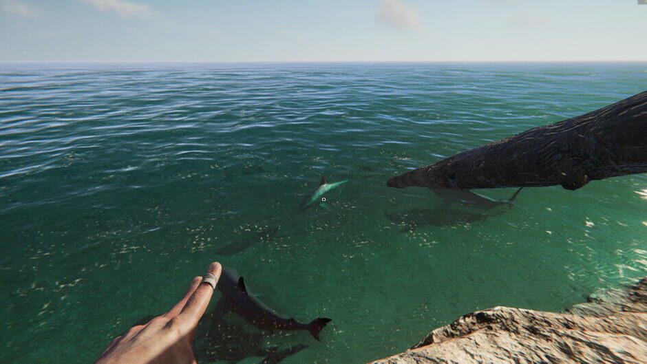 Project Castaway Screenshot