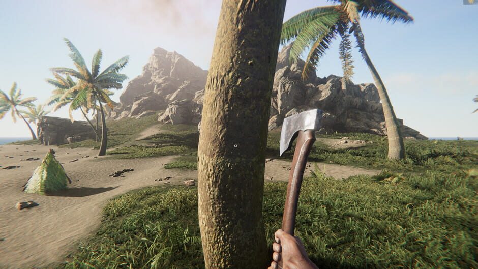 Project Castaway Screenshot