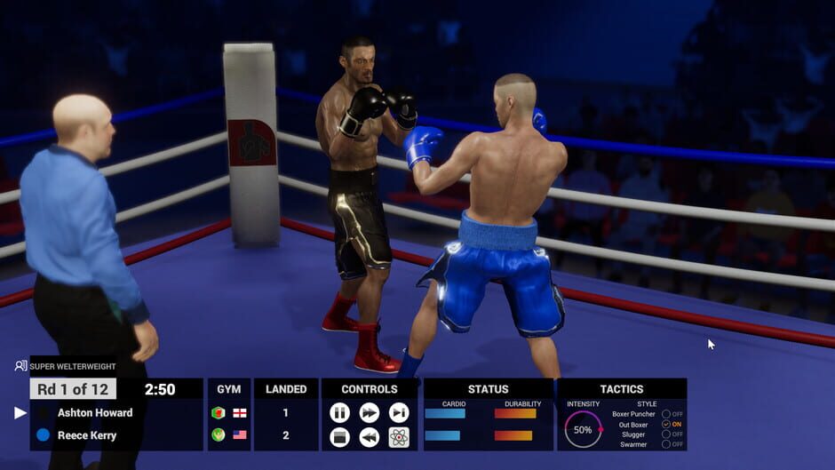 Boxing Club Manager Screenshot