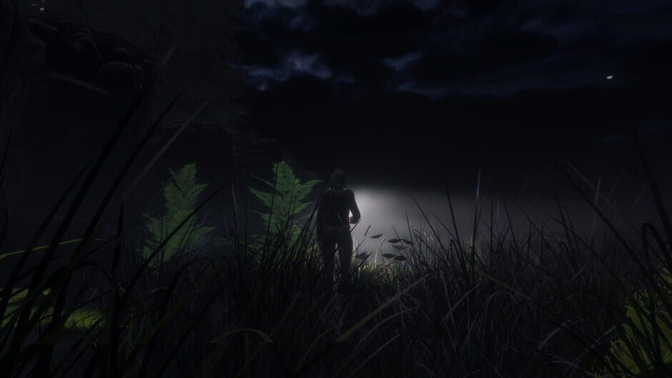 Fleshgait Screenshot