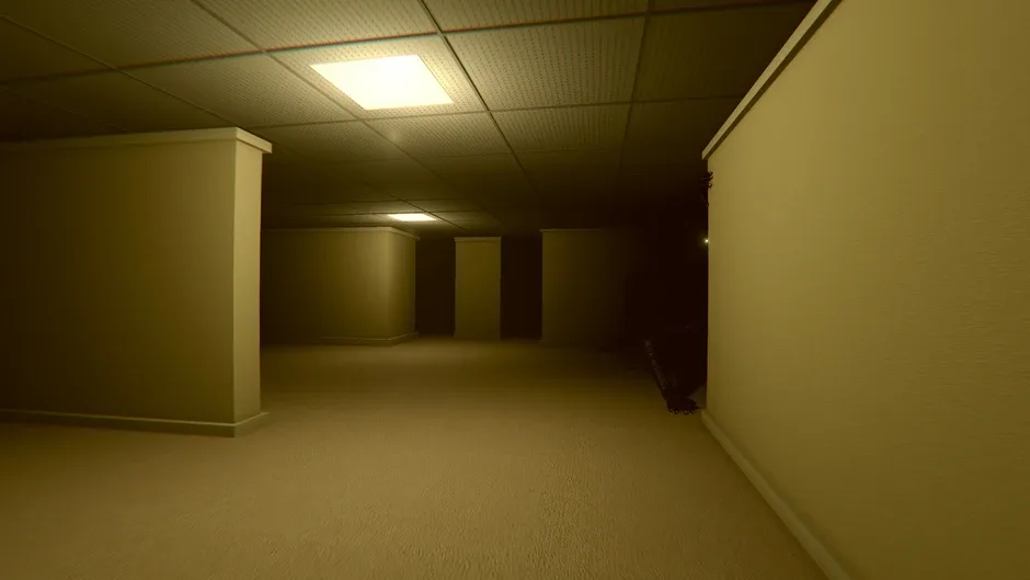 Into the Backrooms