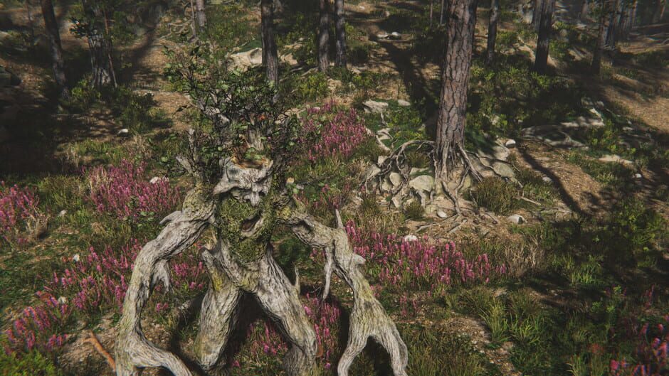 Rootlash screenshot