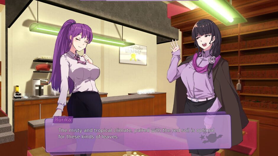 Kuroi Tsubasa Screenshot