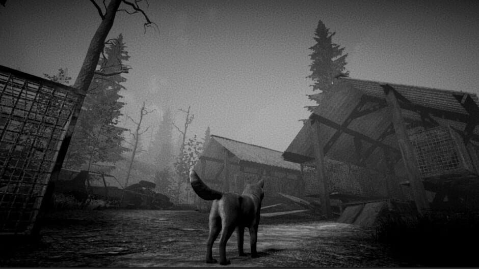 Nahka screenshot