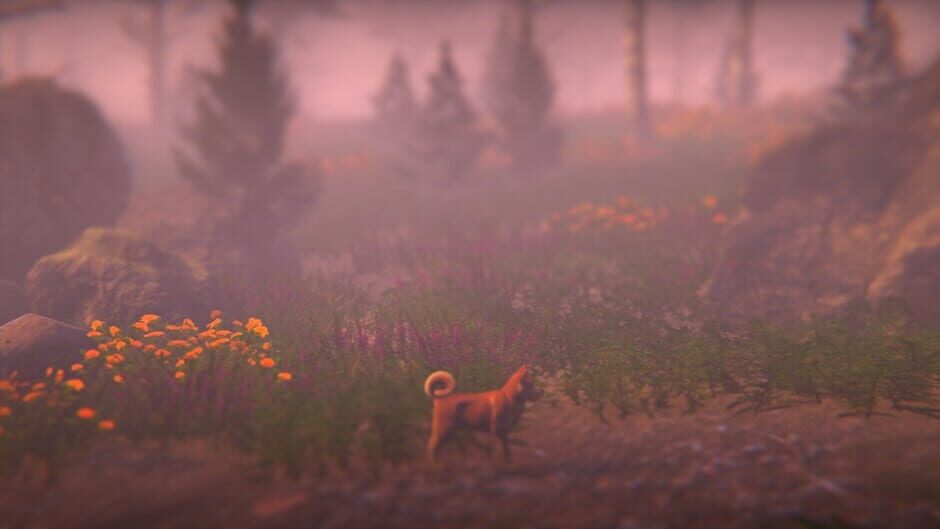 Nahka screenshot