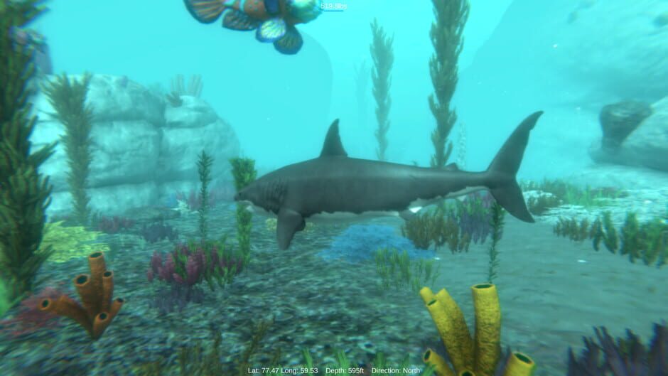 Alpha Shark Screenshot