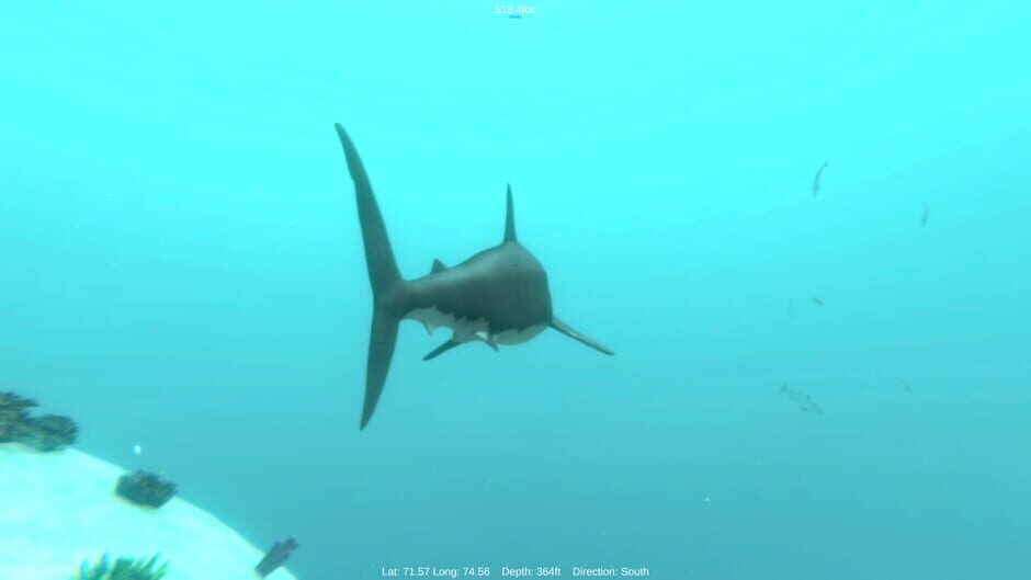 Alpha Shark Screenshot