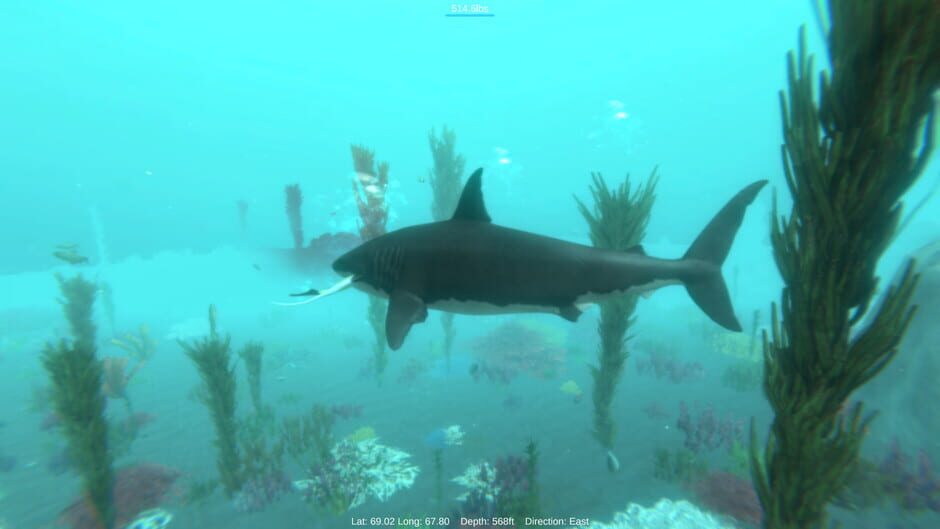 Alpha Shark Screenshot