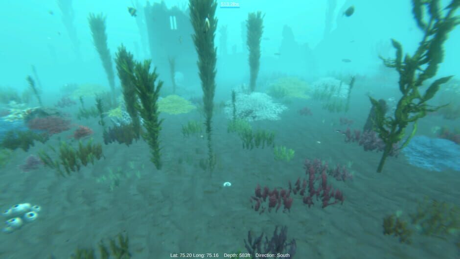 Alpha Shark Screenshot