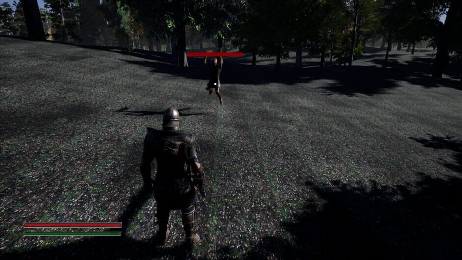 Swords Fantasy: Battlefield Screenshot