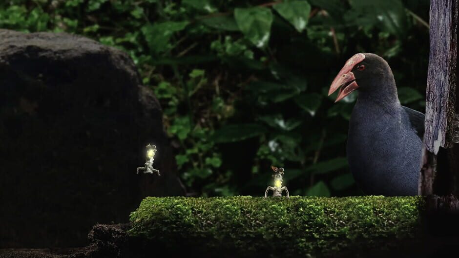 Seedlings Screenshot