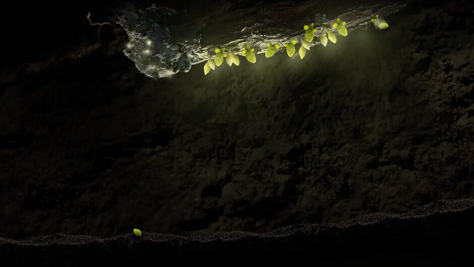 Seedlings Screenshot