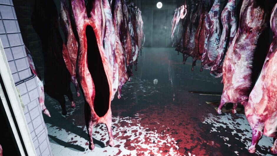 Horror In Valkeala Screenshot