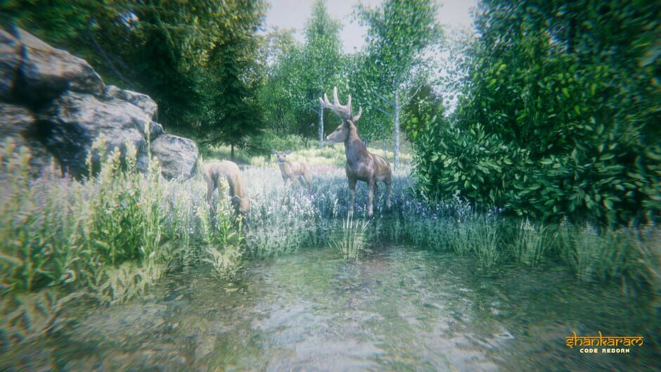 Shankaram: Code Reborn Screenshot