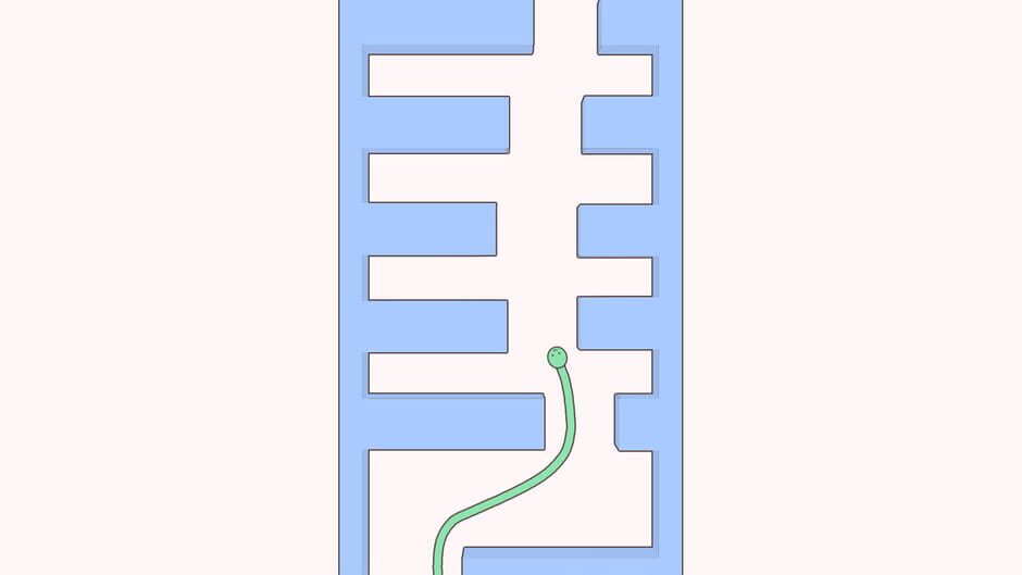 Cute Snake Screenshot