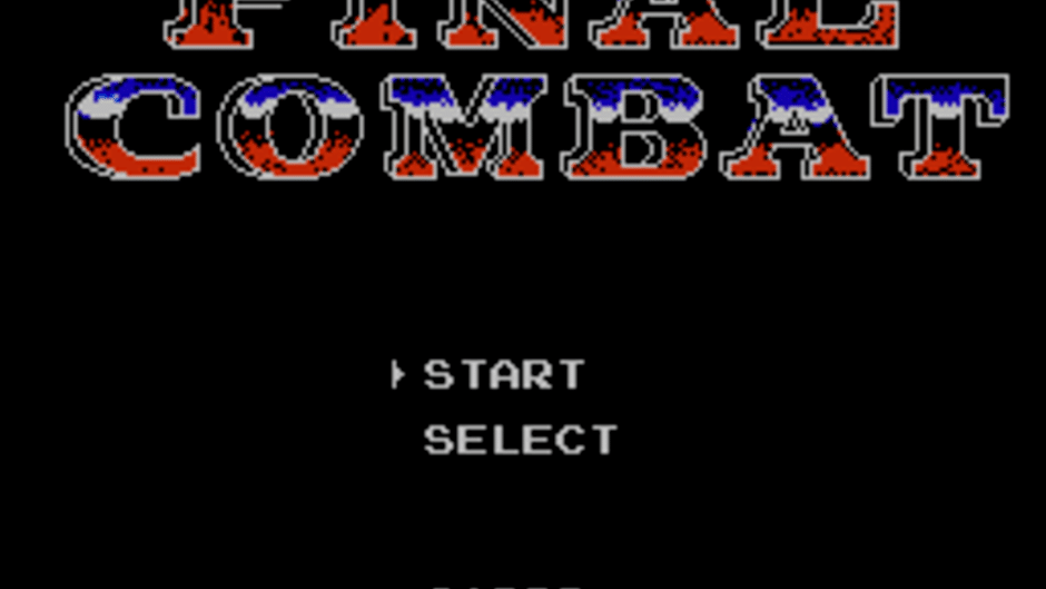 Final Combat Screenshot