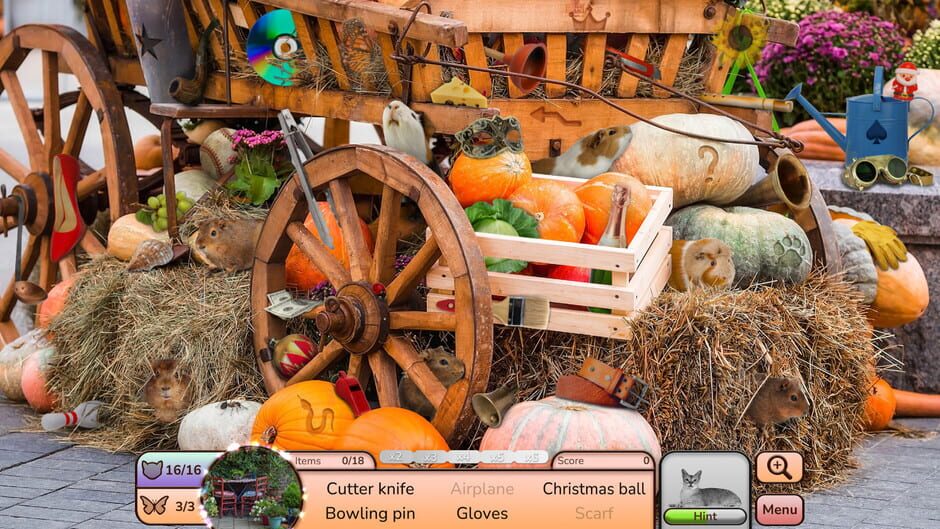 I Love Finding Critters Screenshot