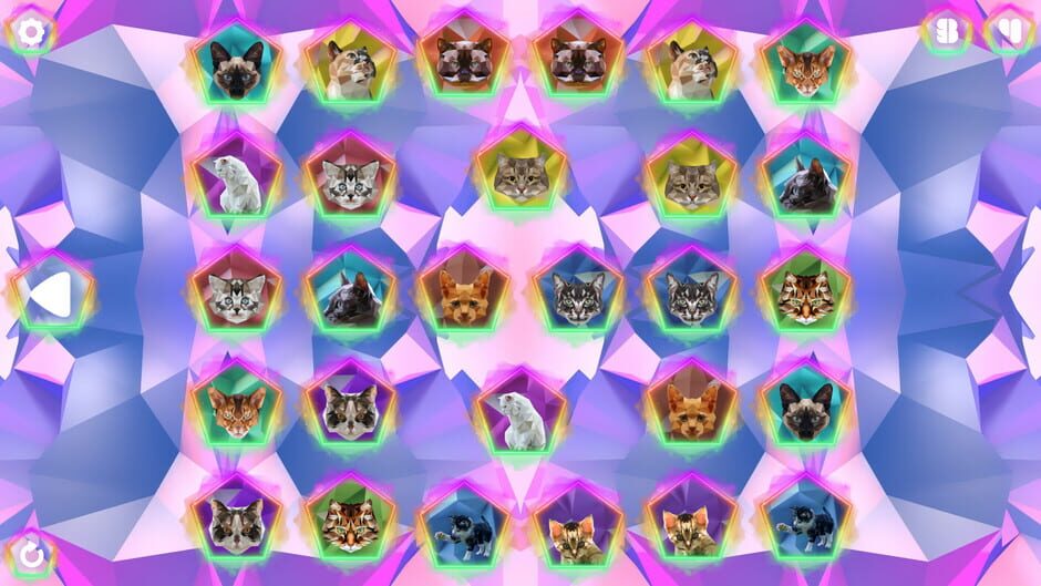 Poly Memory: Cats Screenshot