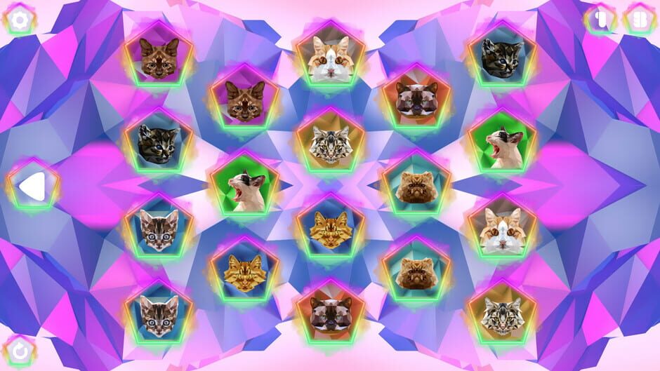 Poly Memory: Cats Screenshot