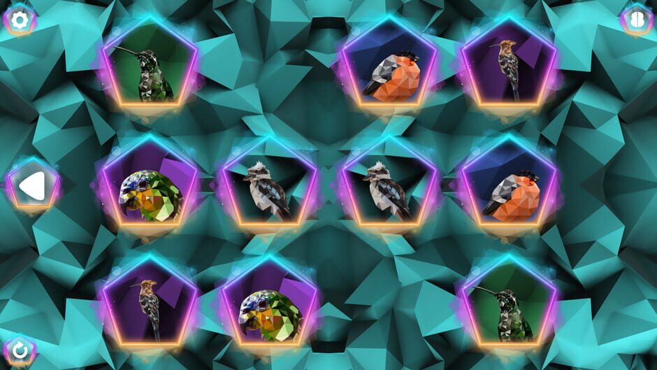 Poly Memory: Birds Screenshot