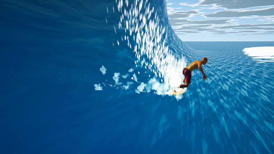 The Endless Summer Surfing Challenge Screenshot