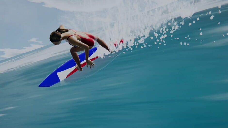 The Endless Summer Surfing Challenge Screenshot