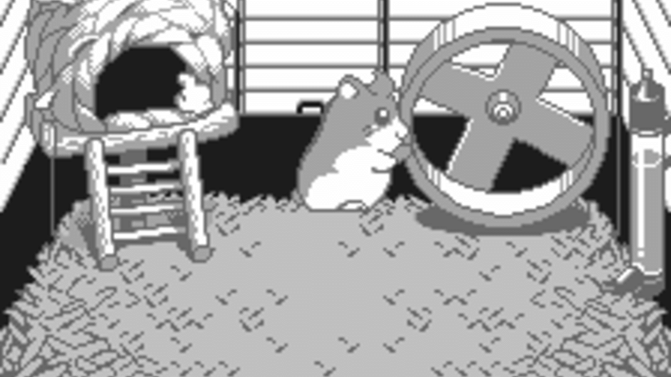 Dokodemo Hamster Screenshot