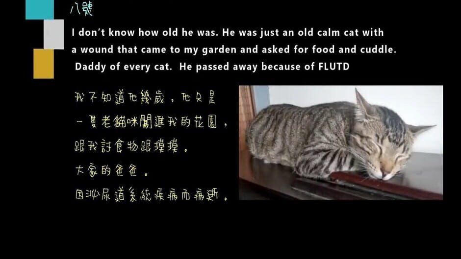 สกรีนช็อตจาก Tigey's Gift (รูปที่ 4)