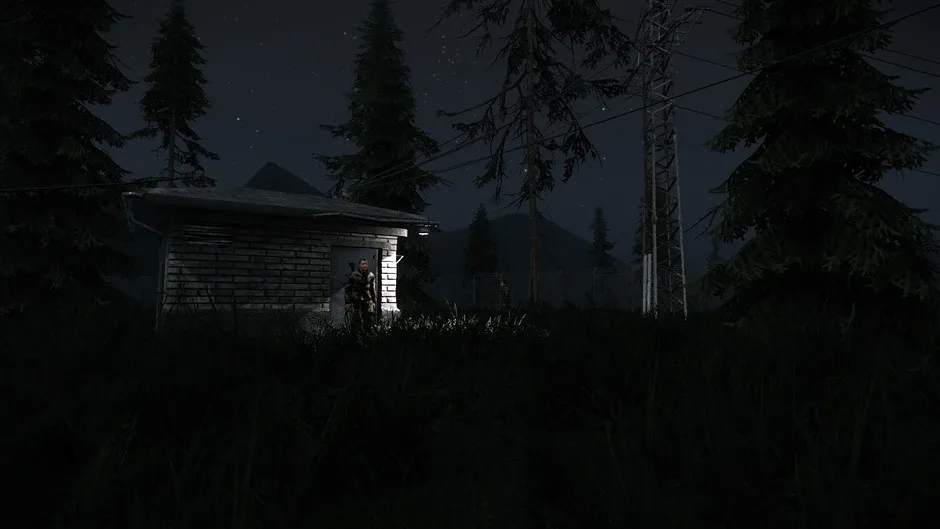 Capture d'écran de l'article