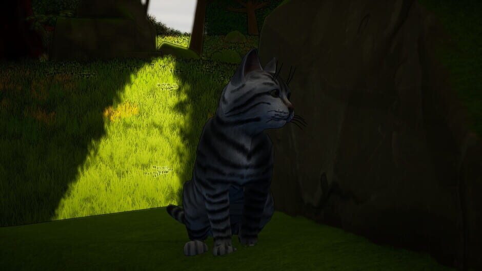 Eshe's Wish Adventure Screenshot