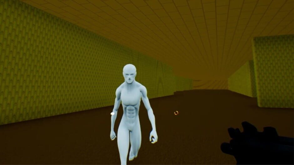 BrVR: Backrooms Virtual Reality Screenshot