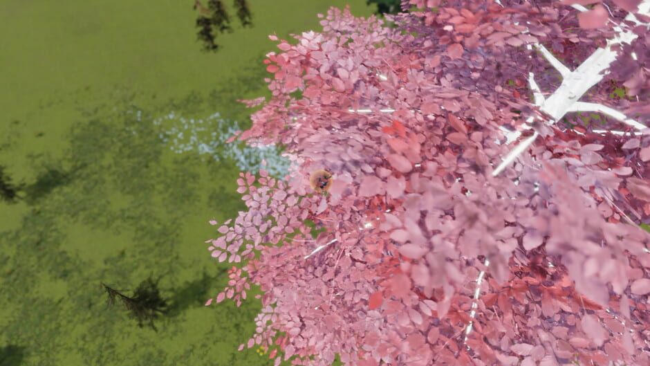 The Ball Flow: Nature and Light Screenshot