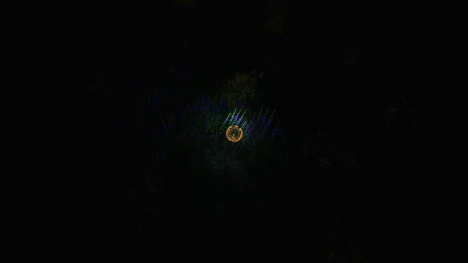 The Ball Flow: Nature and Light Screenshot