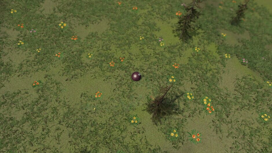 The Ball Flow: Nature and Light Screenshot